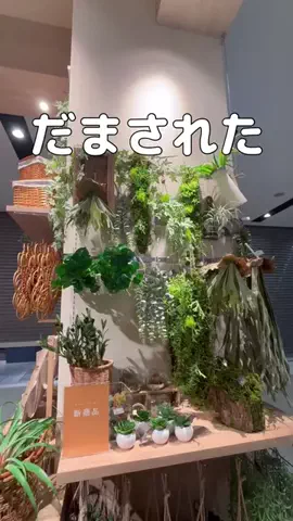 RinaのTikTok投稿