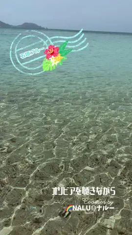 🌈NALU☺︎ナルーのTikTok投稿