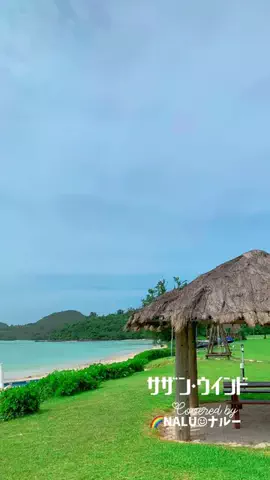 🌈NALU☺︎ナルーのTikTok投稿