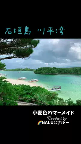🌈NALU☺︎ナルーのTikTok投稿