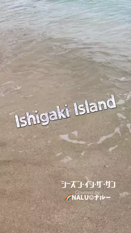 🌈NALU☺︎ナルーのTikTok投稿