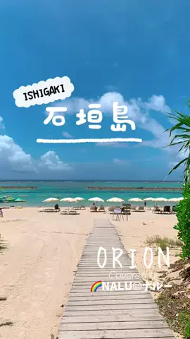 🌈NALU☺︎ナルーのTikTok投稿