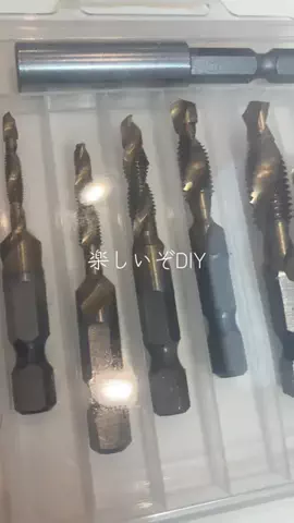 こりんぼすけの休暇のTikTok投稿