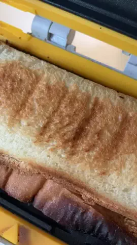 こりんぼすけの休暇のTikTok投稿