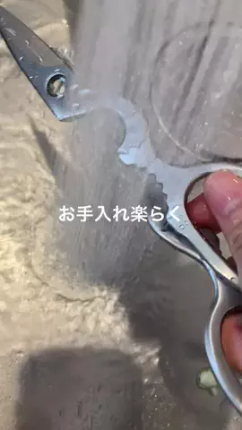 こりんぼすけの休暇のTikTok投稿