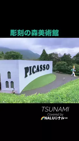 🌈NALU☺︎ナルーのTikTok投稿