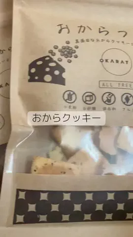 こりんぼすけの休暇のTikTok投稿