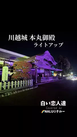 🌈NALU☺︎ナルーのTikTok投稿