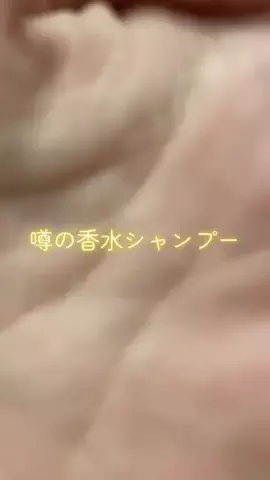 こりんぼすけの休暇のTikTok投稿