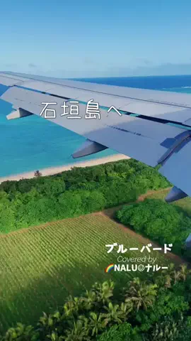 🌈NALU☺︎ナルーのTikTok投稿