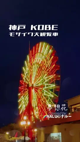 🌈NALU☺︎ナルーのTikTok投稿