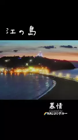 🌈NALU☺︎ナルーのTikTok投稿