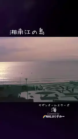 🌈NALU☺︎ナルーのTikTok投稿