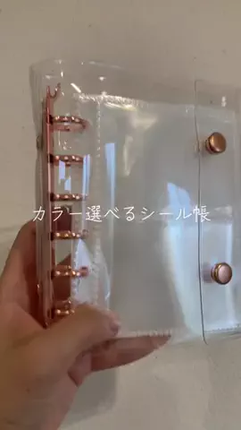 こりんぼすけの休暇のTikTok投稿