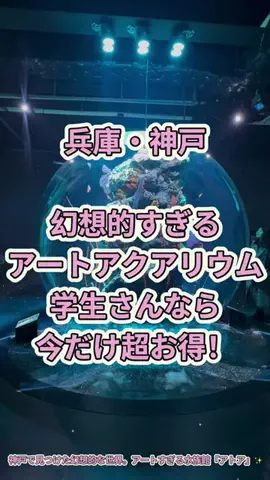 みーたん | 関西中心お出かけスポット🫧のTikTok投稿