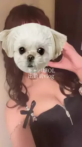 睡眠ちゃん💤のTikTok投稿