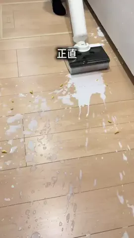 こまち｜掃除屋が教える1分楽ピカ術✨のTikTok投稿