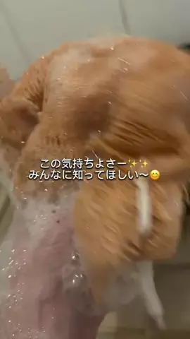 🥂みきてぃー🍷のTikTok投稿