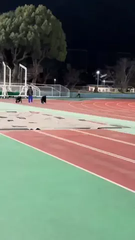 奈良の陸上が好きな人のTikTok投稿