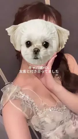 睡眠ちゃん💤のTikTok投稿