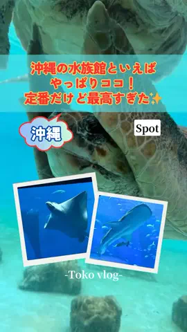 トコトコ日記✈️｜旅とホテル案内のTikTok投稿