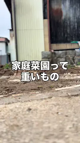 長ネギ夫婦| 180日で身体に優しい野菜をのTikTok投稿