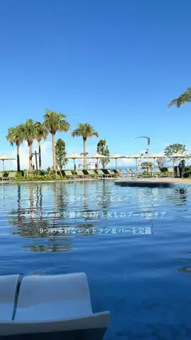 ルイハナちゃんのTikTok投稿