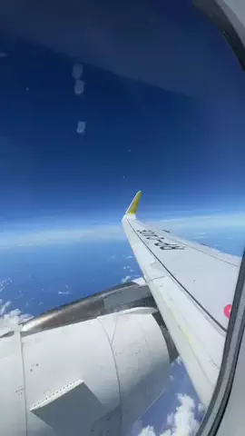 毎週出かけてルナのTikTok投稿