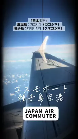 ルイハナちゃんのTikTok投稿