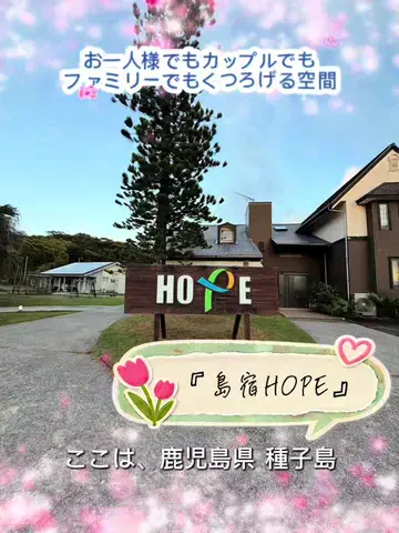 ルイハナちゃんのTikTok投稿