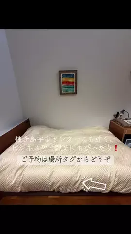 ルイハナちゃんのTikTok投稿
