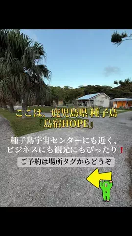 ルイハナちゃんのTikTok投稿