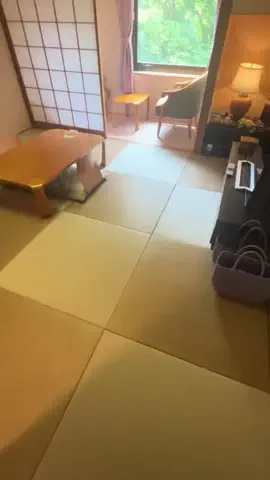 ルイハナちゃんのTikTok投稿