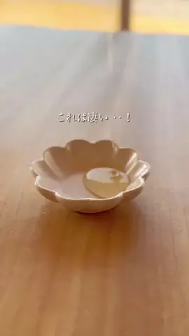 そりのTikTok投稿