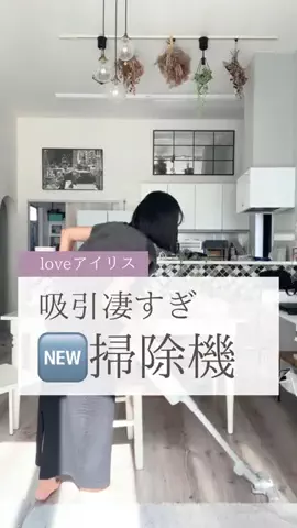 ちょびすけ40🏠🪴🐶のTikTok投稿