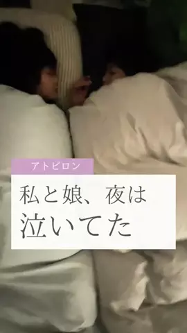 ちょびすけ40🏠🪴🐶のTikTok投稿