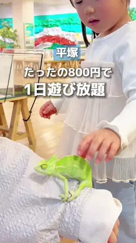 すぅ|神奈川発お出かけ&旅のTikTok投稿