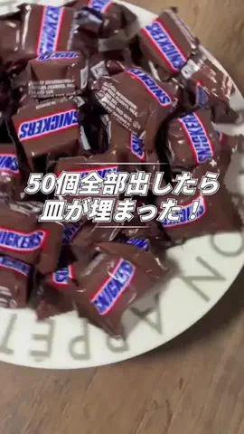 速報おじさん🍚のTikTok投稿