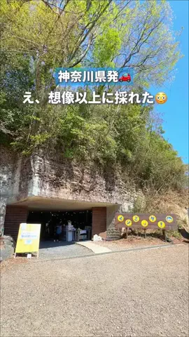すぅ|神奈川発お出かけ&旅のTikTok投稿