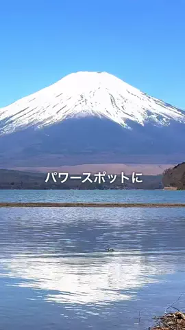 ダルマちゃんの神様に会いに行こう　奇跡のパワースポット巡りのTikTok投稿