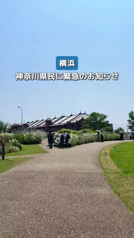 なお | 神奈川発の週末おでかけガイド📘のTikTok投稿