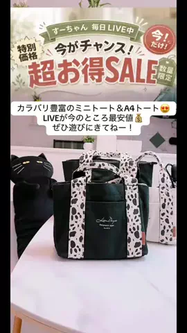 すーちゃんのTikTok投稿