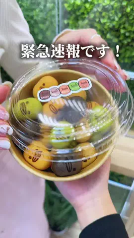 にっこり埼玉のTikTok投稿