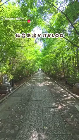 sendai.mamagramのTikTok投稿