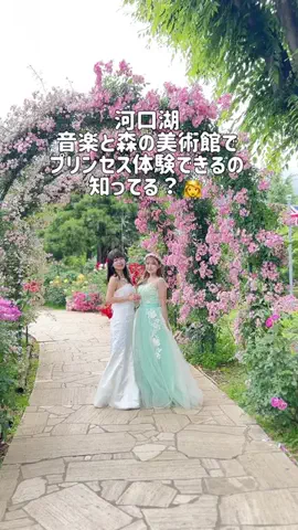 いけちゃん 🐶🫧のTikTok投稿