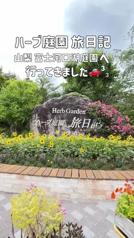 いけちゃん 🐶🫧のTikTok投稿