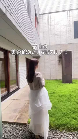 いけちゃん 🐶🫧のTikTok投稿