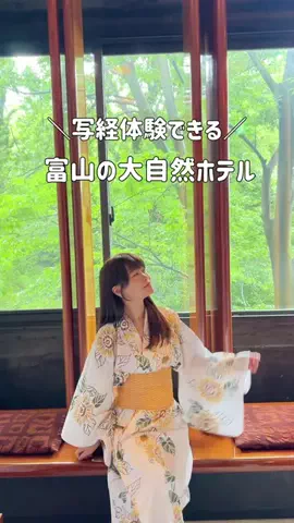 いけちゃん 🐶🫧のTikTok投稿