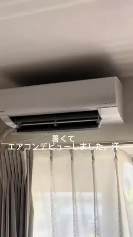 りんちゃまのTikTok投稿