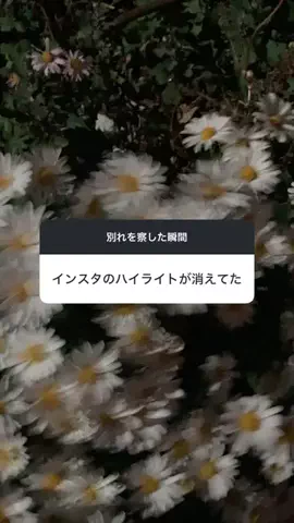 恋愛研究所の独り言のTikTok投稿